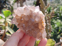 Natural Cactus Flower Smokey Amethyst Spirit Clusters x 5 From South Africa