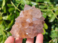 Natural Cactus Flower Smokey Amethyst Spirit Clusters x 5 From South Africa