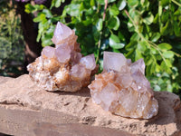 Natural Cactus Flower Smokey Amethyst Spirit Clusters x 5 From South Africa