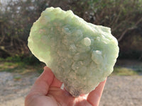 Natural Botryoidal Prehnite Specimens x 2 From Beaufort West, South Africa