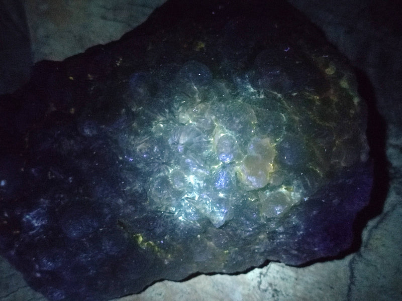files/172027_15.jpg