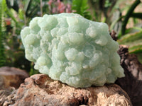 Natural Botryoidal Prehnite Specimens x 2 From Beaufort West, South Africa