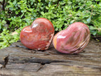 Polished Red Podocarpus Petrified Wood Hearts x 2 From Mahajanga, Madagascar - Toprock Gemstones and Minerals 