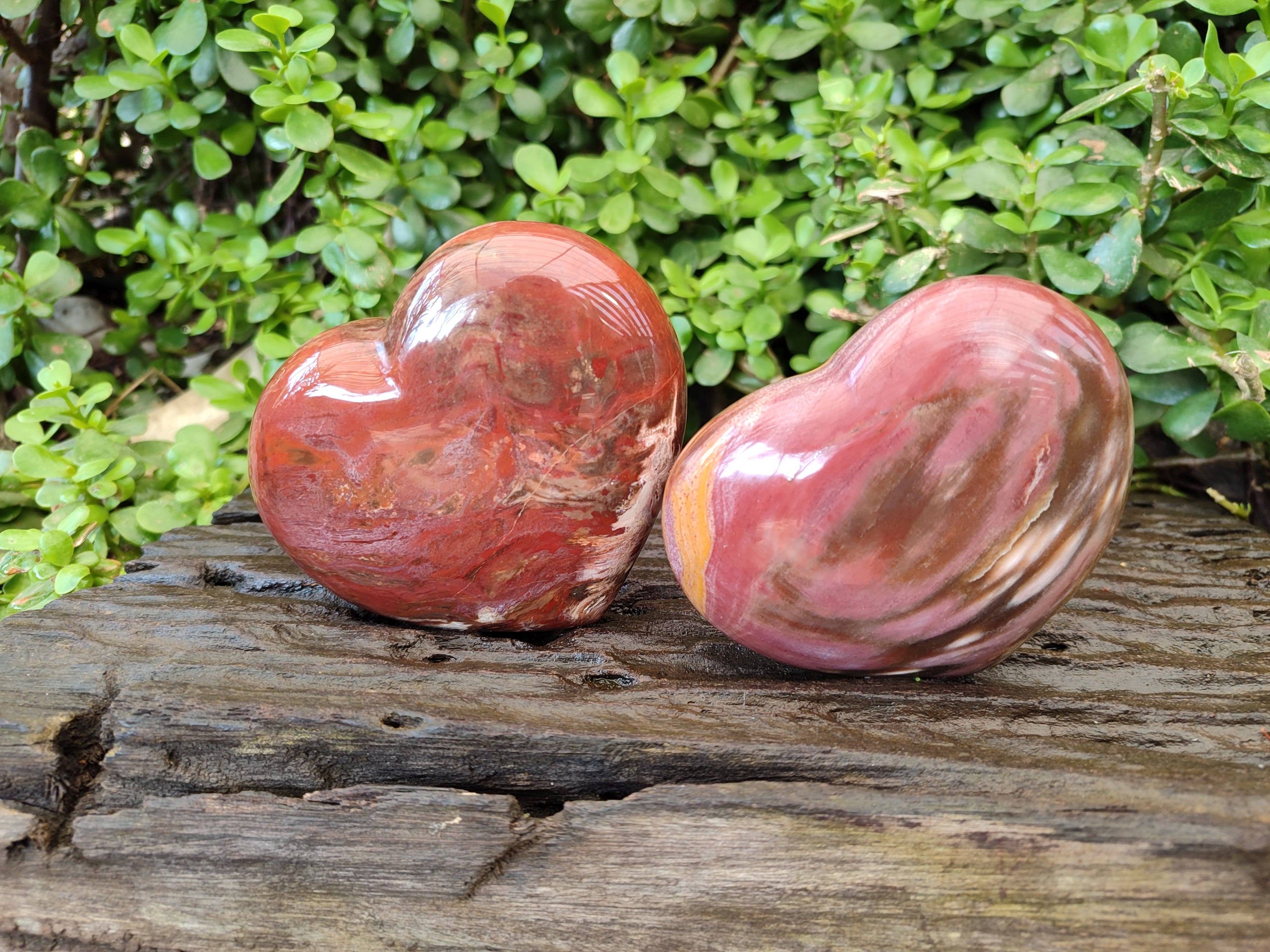 Polished Red Podocarpus Petrified Wood Hearts x 2 From Mahajanga, Madagascar - Toprock Gemstones and Minerals 