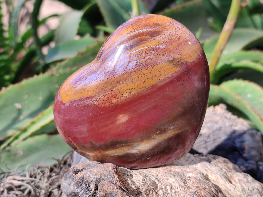 Polished Red Podocarpus Petrified Wood Hearts x 2 From Mahajanga, Madagascar - Toprock Gemstones and Minerals 