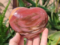 Polished Red Podocarpus Petrified Wood Hearts x 2 From Mahajanga, Madagascar
