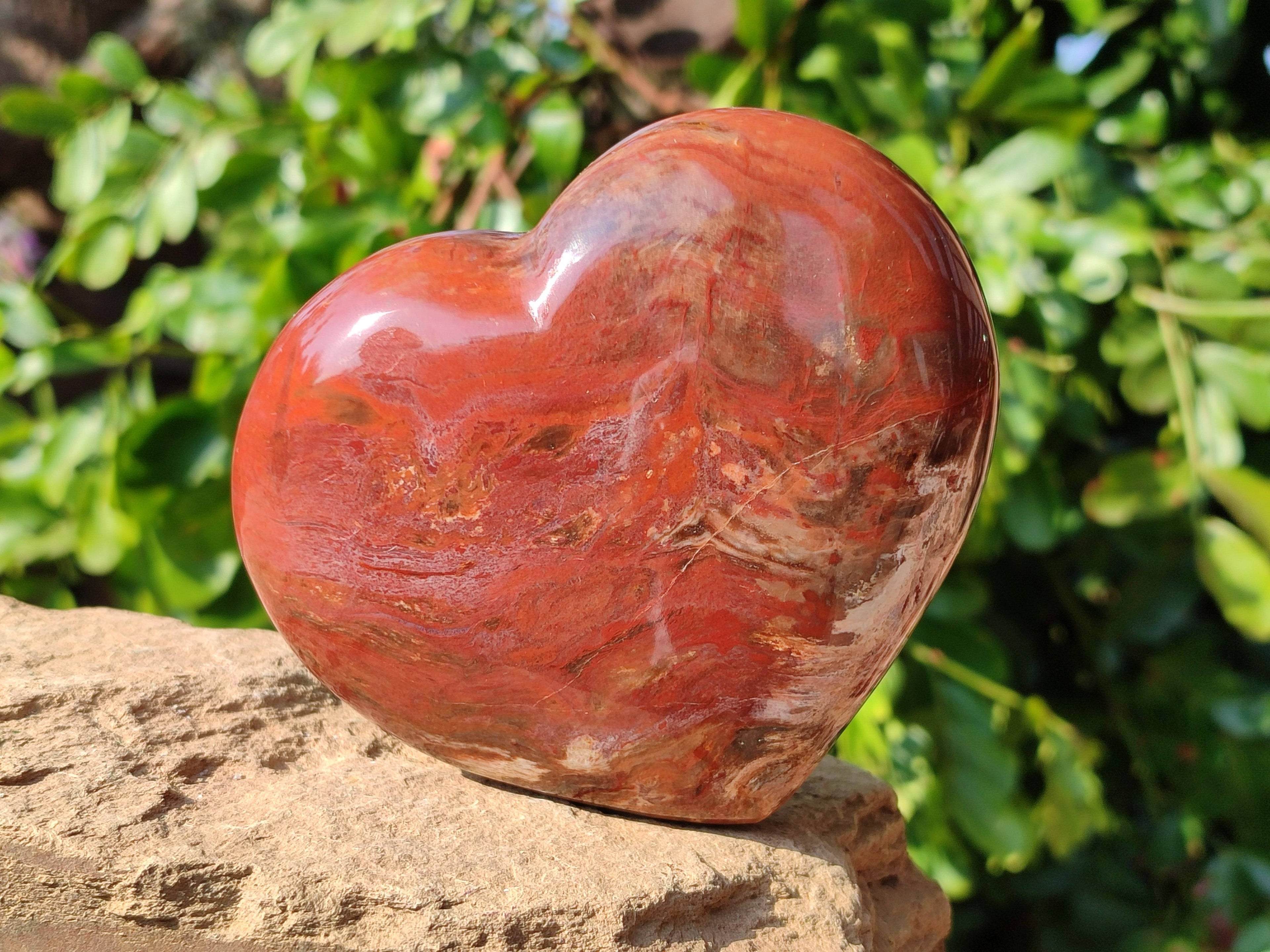 Polished Red Podocarpus Petrified Wood Hearts x 2 From Mahajanga, Madagascar - Toprock Gemstones and Minerals 