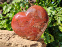 Polished Red Podocarpus Petrified Wood Hearts x 2 From Mahajanga, Madagascar