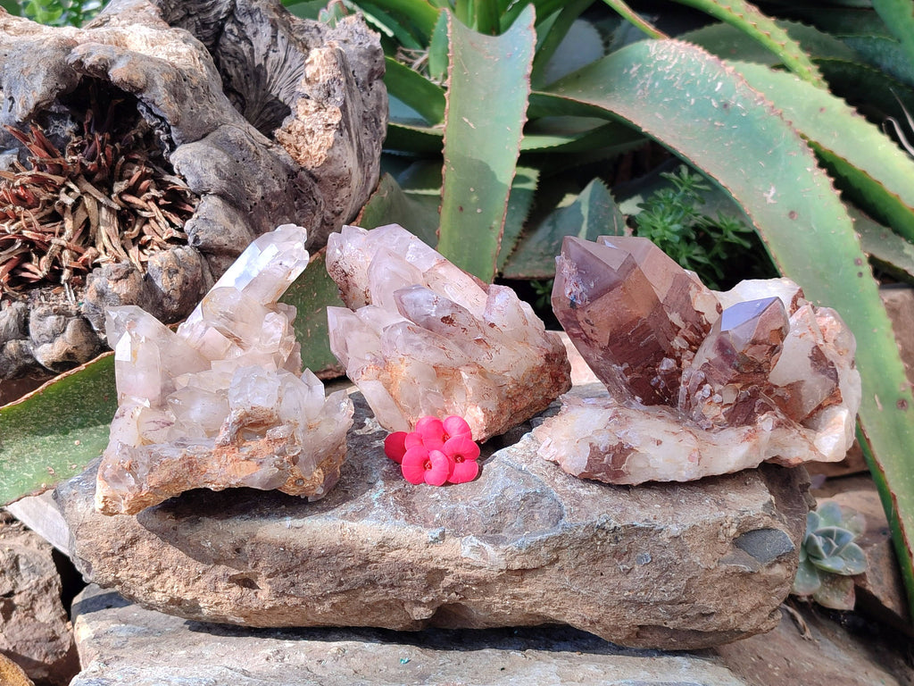 Natural Red Hematoid Quartz Clusters x 3 From Karoi, Zimbabwe - Toprock Gemstones and Minerals 
