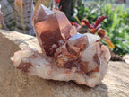 Natural Red Hematoid Quartz Clusters x 3 From Karoi, Zimbabwe - Toprock Gemstones and Minerals 