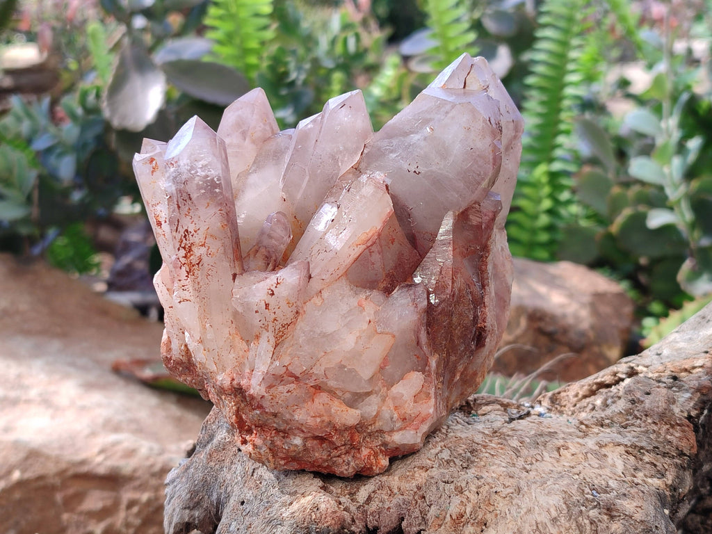 Natural Red Hematoid Quartz Clusters x 3 From Karoi, Zimbabwe - Toprock Gemstones and Minerals 