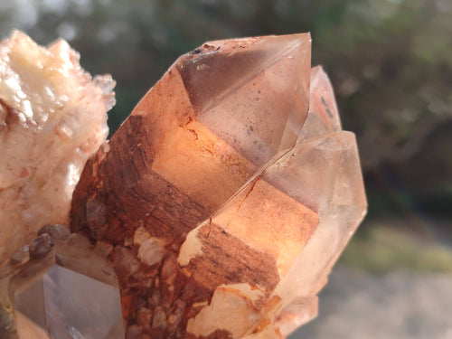 Natural Red Hematoid Quartz Clusters x 3 From Karoi, Zimbabwe - Toprock Gemstones and Minerals 