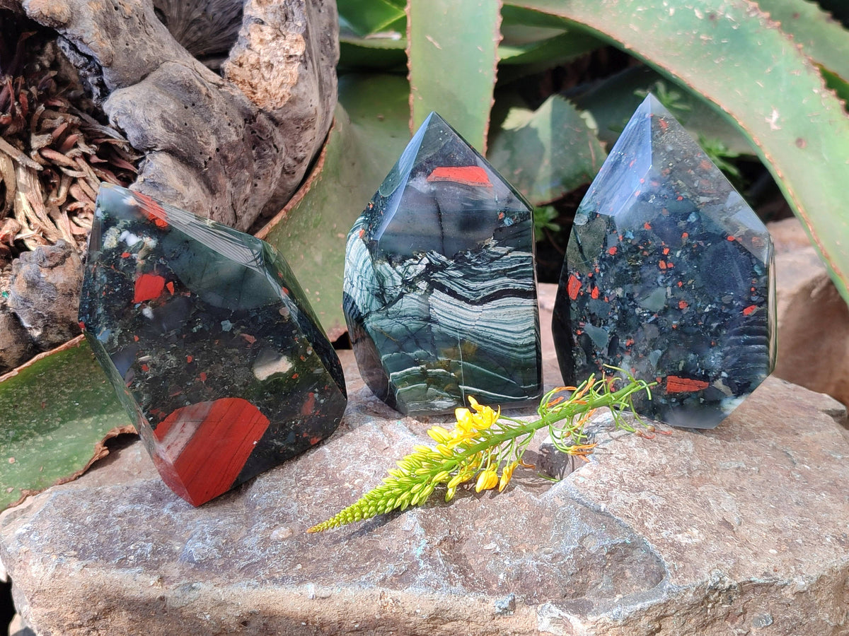 Polished Bloodstone Points x 3 From Swaziland - Toprock Gemstones and Minerals 