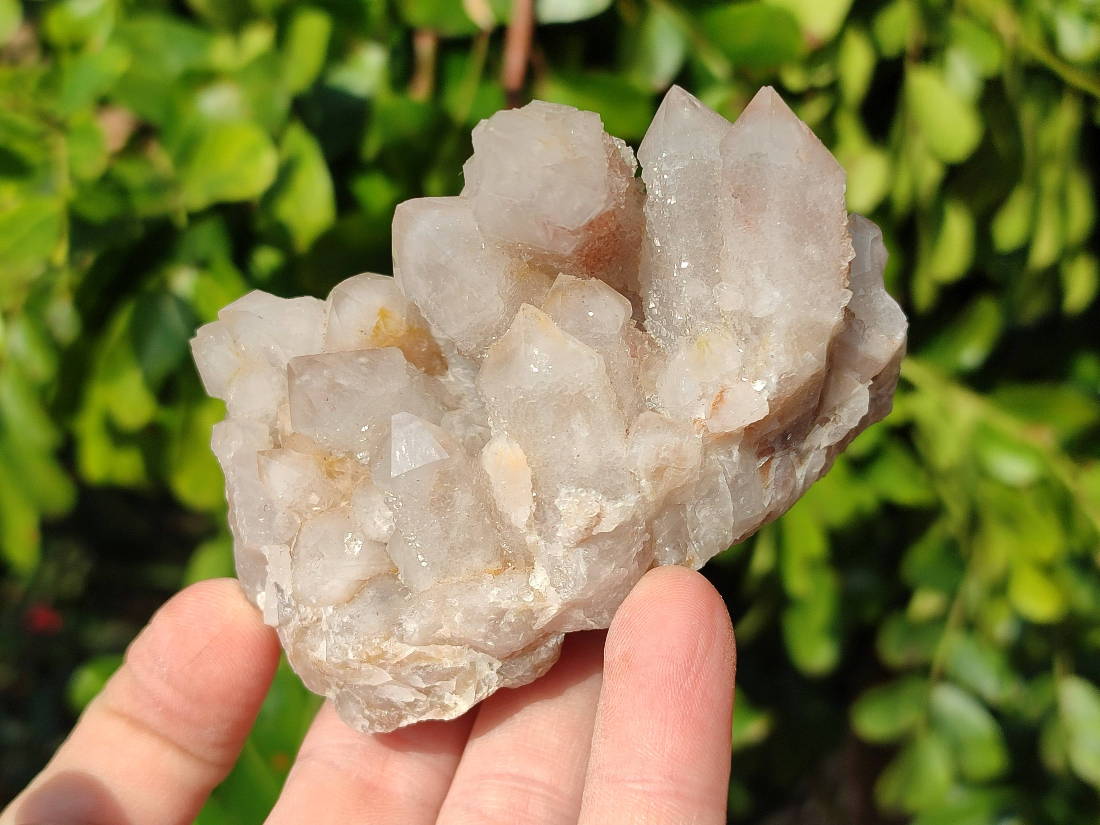 Natural Fairy Spirit Quartz Clusters x 6 From Boekenhouthoek, South Africa - Toprock Gemstones and Minerals 