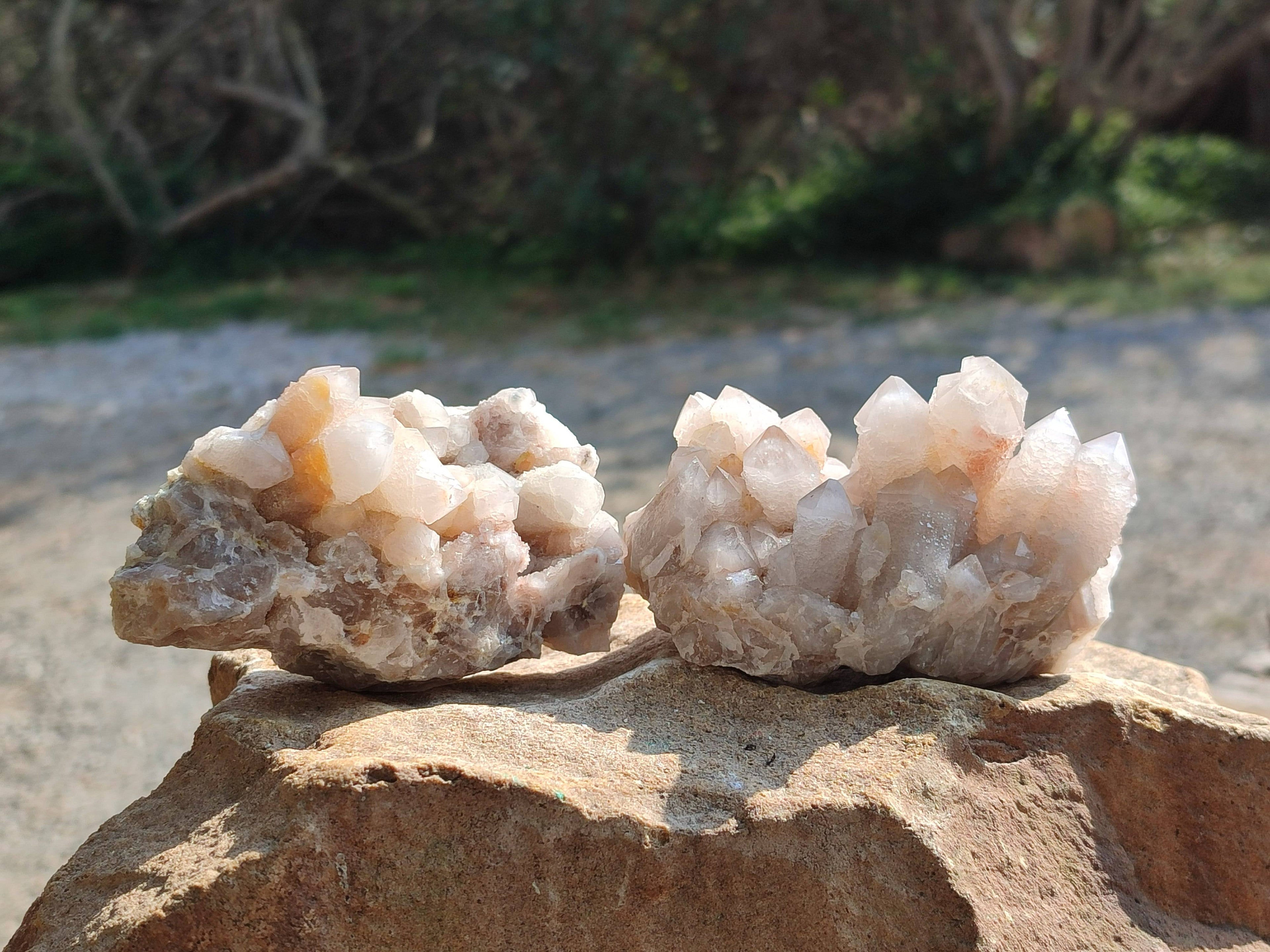 Natural Fairy Spirit Quartz Clusters x 6 From Boekenhouthoek, South Africa - Toprock Gemstones and Minerals 