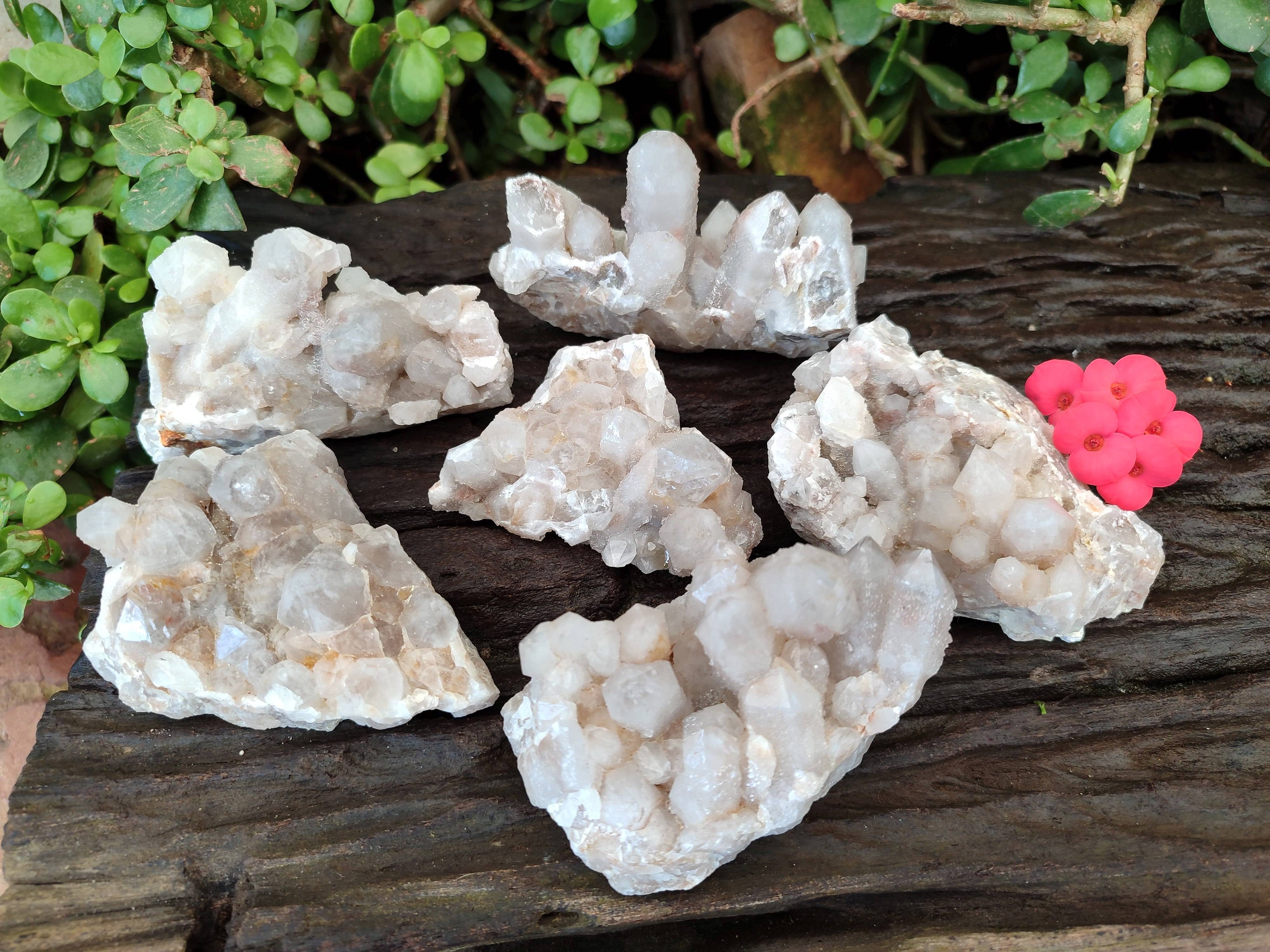 Natural Fairy Spirit Quartz Clusters x 6 From Boekenhouthoek, South Africa - Toprock Gemstones and Minerals 