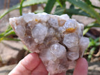 Natural Fairy Spirit Quartz Clusters x 6 From Boekenhouthoek, South Africa - Toprock Gemstones and Minerals 