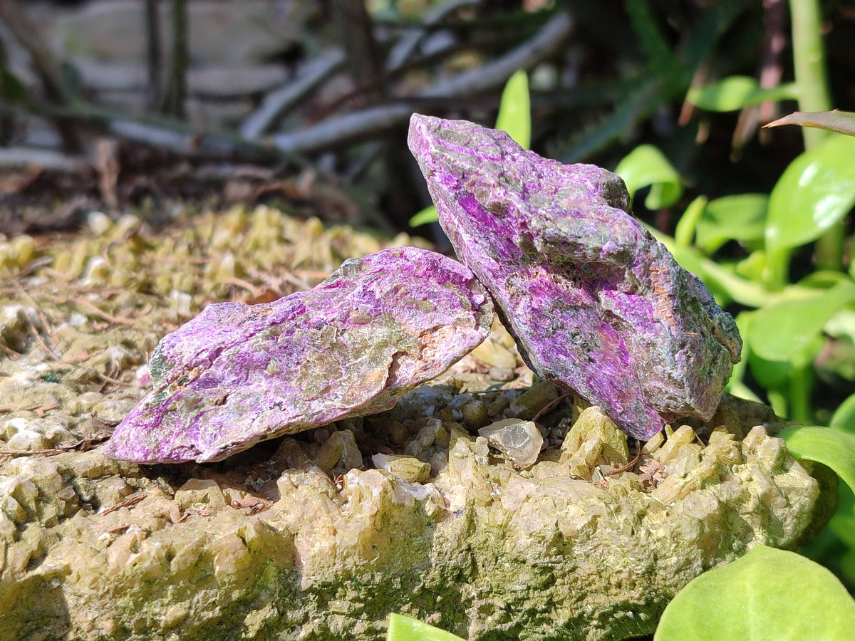 Natural Stichtite Specimens x 1 Lot From Barberton, South Africa - Toprock Gemstones and Minerals 