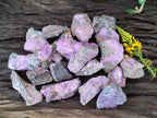Natural Stichtite Specimens x 1 Lot From Barberton, South Africa - Toprock Gemstones and Minerals 