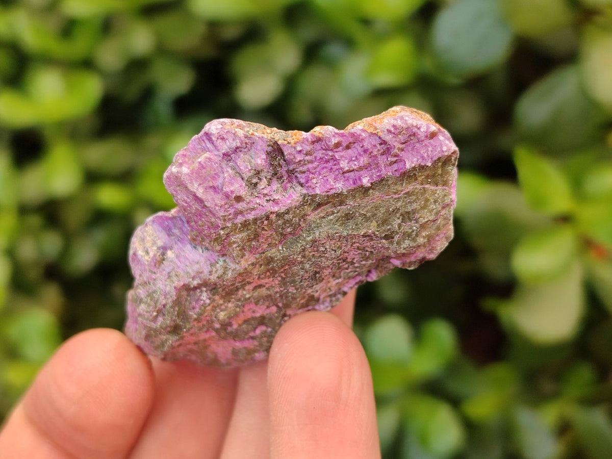 Natural Stichtite Specimens x 1 Lot From Barberton, South Africa - Toprock Gemstones and Minerals 