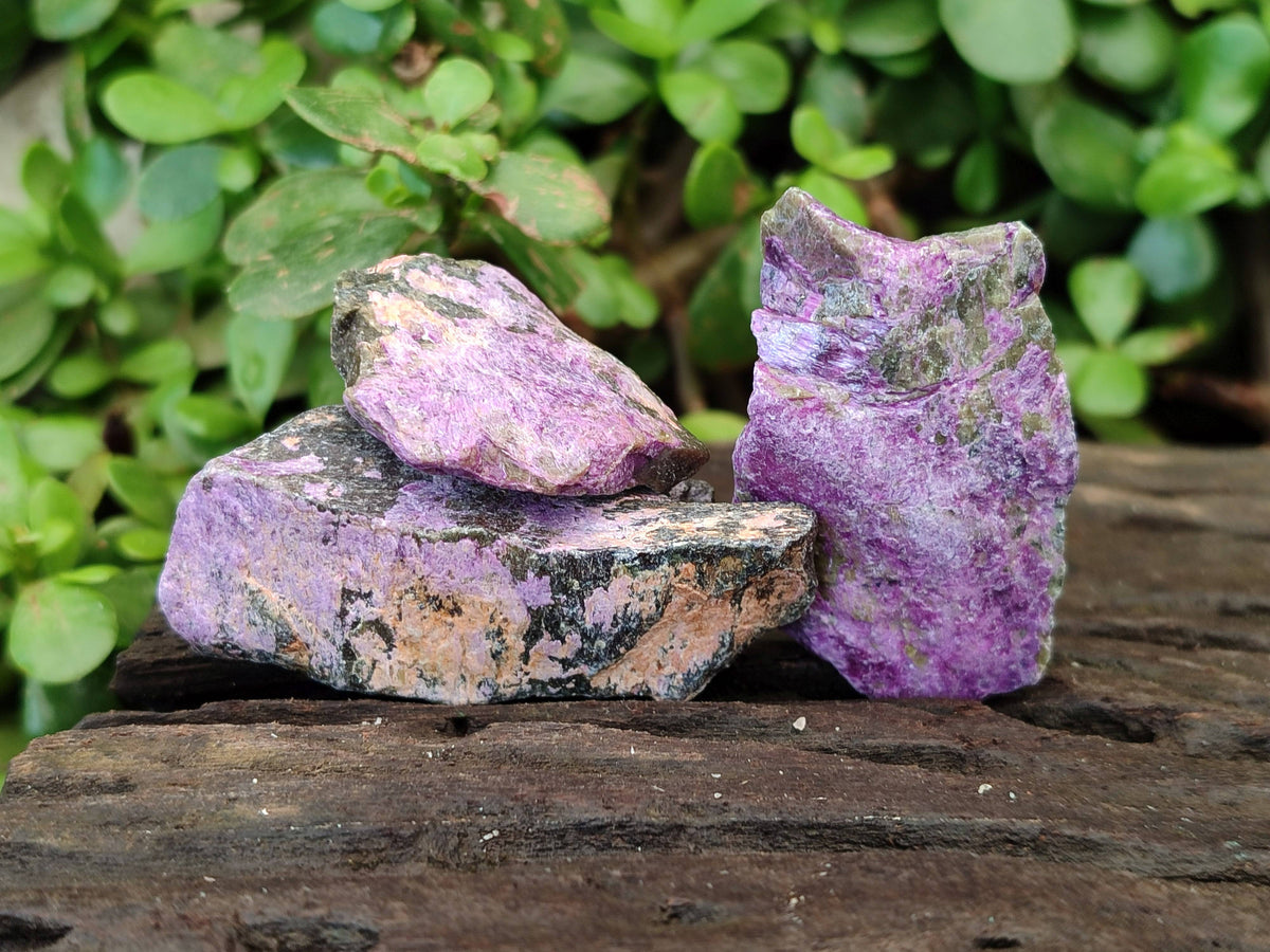 Natural Stichtite Specimens x 1 Lot From Barberton, South Africa - Toprock Gemstones and Minerals 