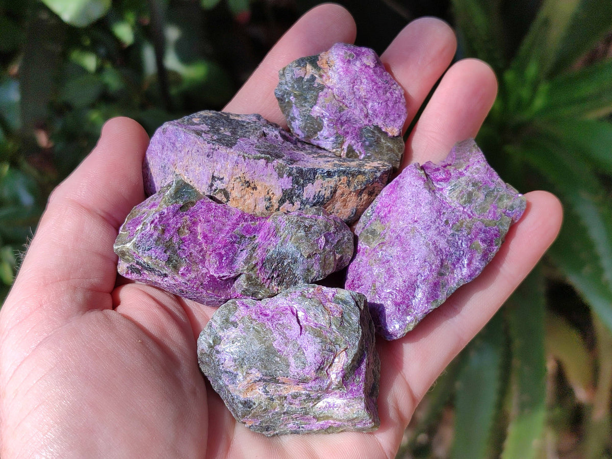 Natural Stichtite Specimens x 1 Lot From Barberton, South Africa - Toprock Gemstones and Minerals 