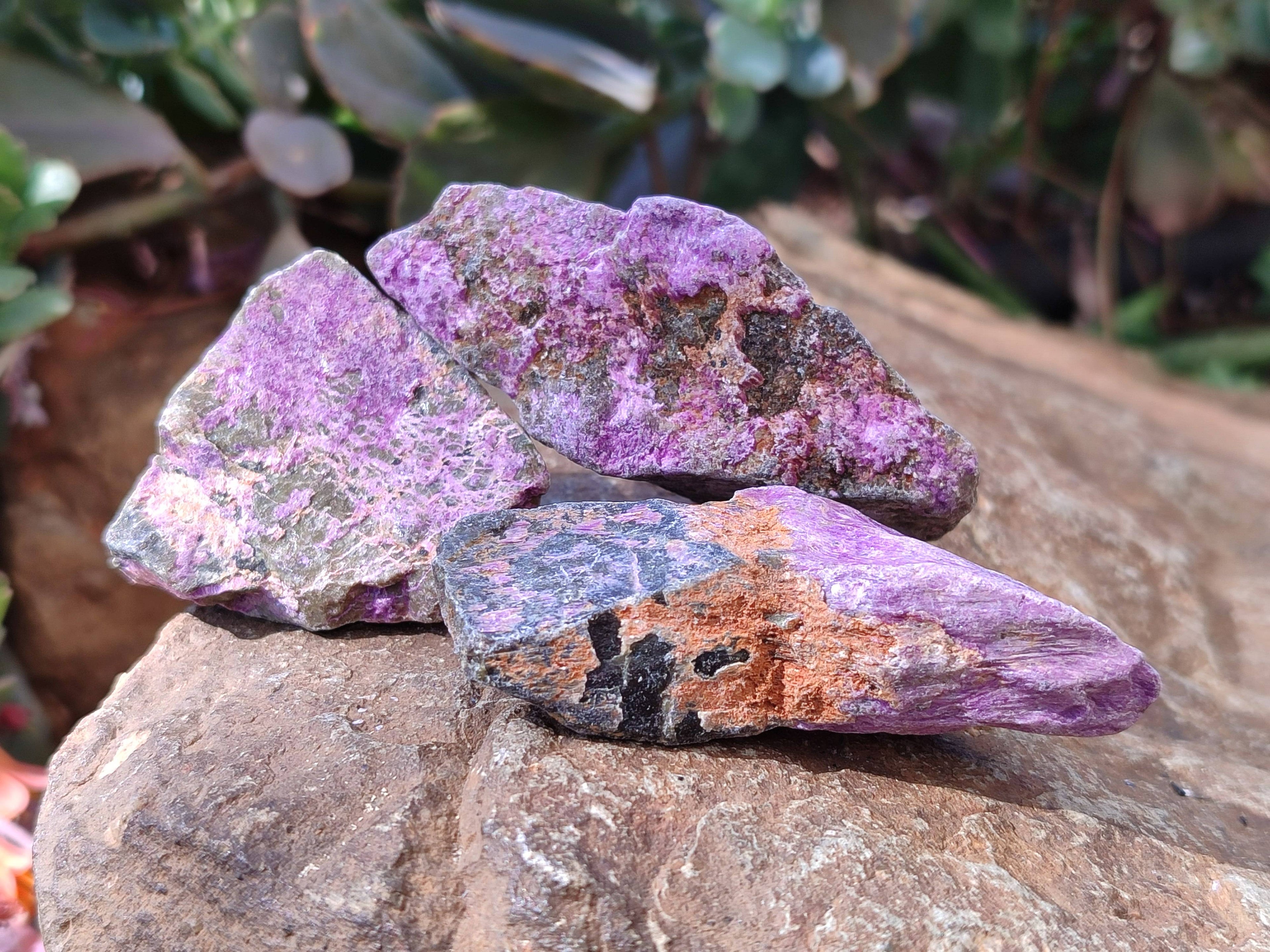 Natural Stichtite Specimens x 1 Lot From Barberton, South Africa - Toprock Gemstones and Minerals 