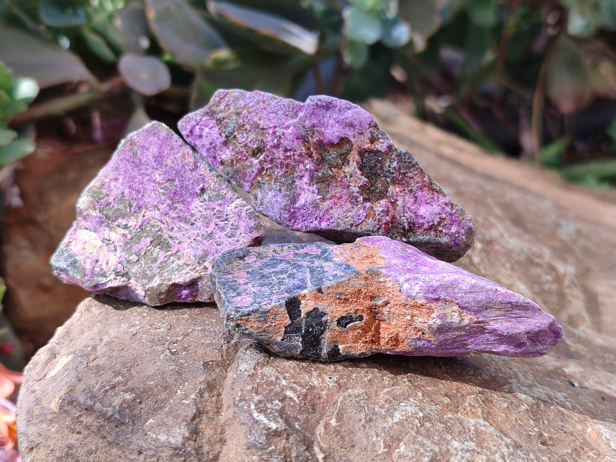 Natural Stichtite Specimens x 1 Lot From Barberton, South Africa - Toprock Gemstones and Minerals 