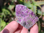 Natural Stichtite Specimens x 1 Lot From Barberton, South Africa - Toprock Gemstones and Minerals 