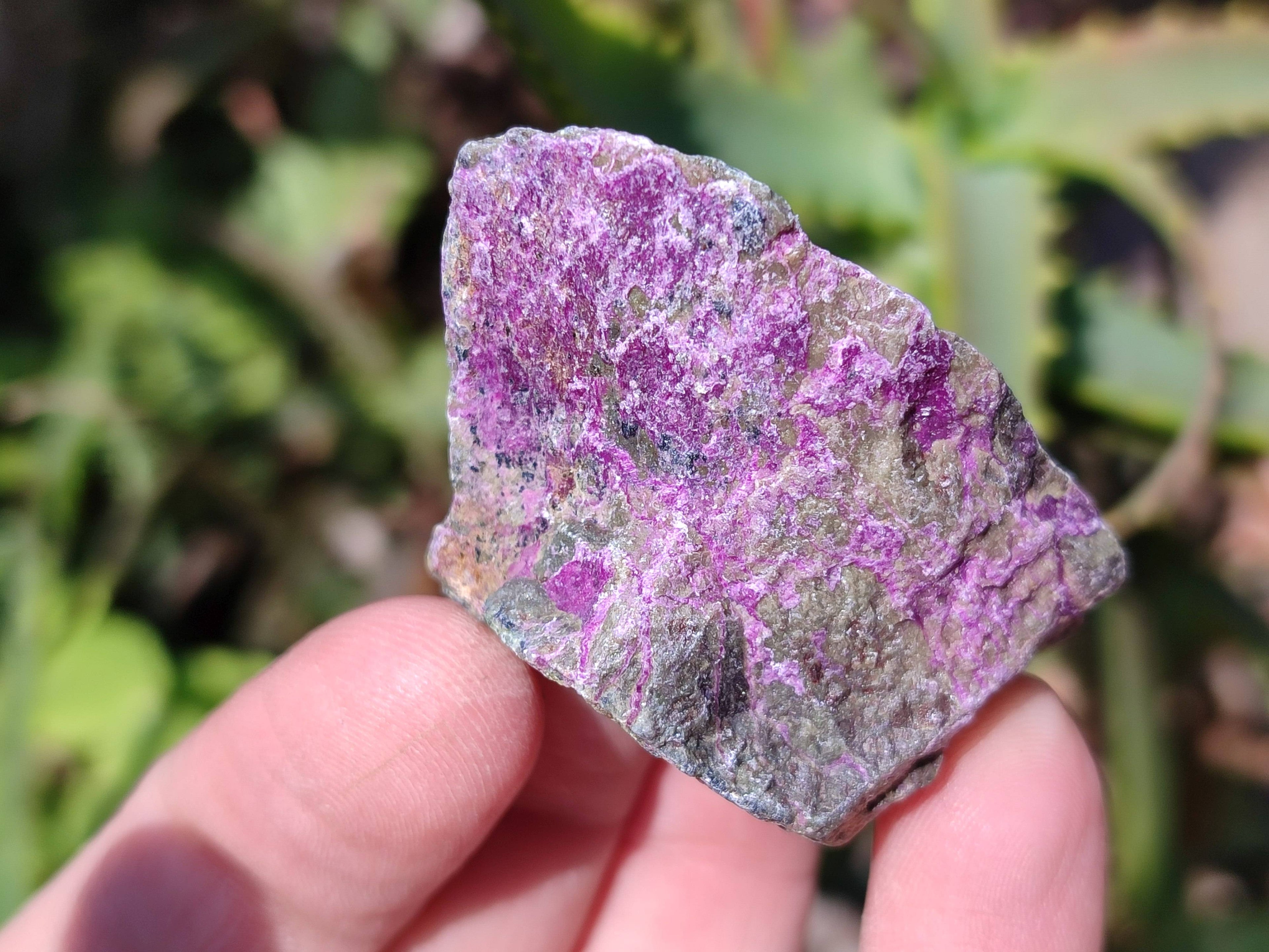 Natural Stichtite Specimens x 1 Lot From Barberton, South Africa - Toprock Gemstones and Minerals 