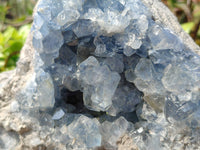 Natural Celestite Geode Specimen x 1 From Sakoany, Madagascar