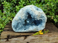 Natural Celestite Geode Specimen x 1 From Sakoany, Madagascar