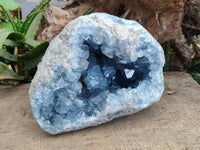 Natural Celestite Geode Specimen x 1 From Sakoany, Madagascar