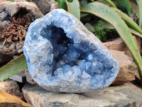 Natural Celestite Geode Specimen x 1 From Sakoany, Madagascar