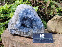 Natural Celestite Geode Specimen x 1 From Sakoany, Madagascar
