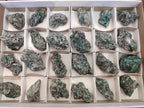 Natural Emerald Mica 'Mutokolite' Cobbed Specimens x 24 From Mutoko, Zimbabwe - Toprock Gemstones and Minerals 