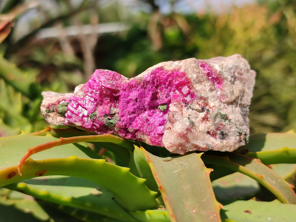 Natural Salrose Cobaltion Dolomite Specimens x 6 From Kakanda, Congo - Toprock Gemstones and Minerals 