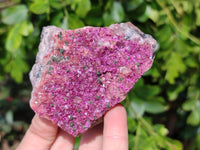 Natural Salrose Cobaltion Dolomite Specimens x 6 From Kakanda, Congo