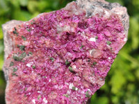 Natural Salrose Cobaltion Dolomite Specimens x 6 From Kakanda, Congo