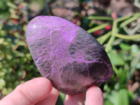 Polished Stichtite Standing Free Form x 6 From Barberton, South Africa - Toprock Gemstones and Minerals 