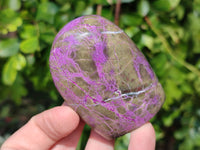 Polished Stichtite Standing Free Form x 6 From Barberton, South Africa - Toprock Gemstones and Minerals 