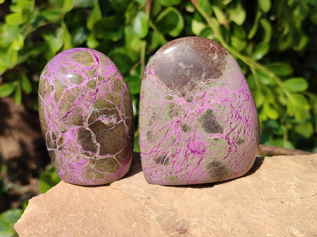 Polished Stichtite Standing Free Form x 6 From Barberton, South Africa - Toprock Gemstones and Minerals 