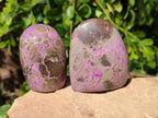 Polished Stichtite Standing Free Form x 6 From Barberton, South Africa - Toprock Gemstones and Minerals 
