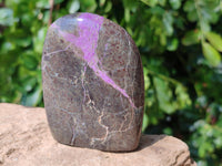 Polished Stichtite Standing Free Form x 6 From Barberton, South Africa - Toprock Gemstones and Minerals 