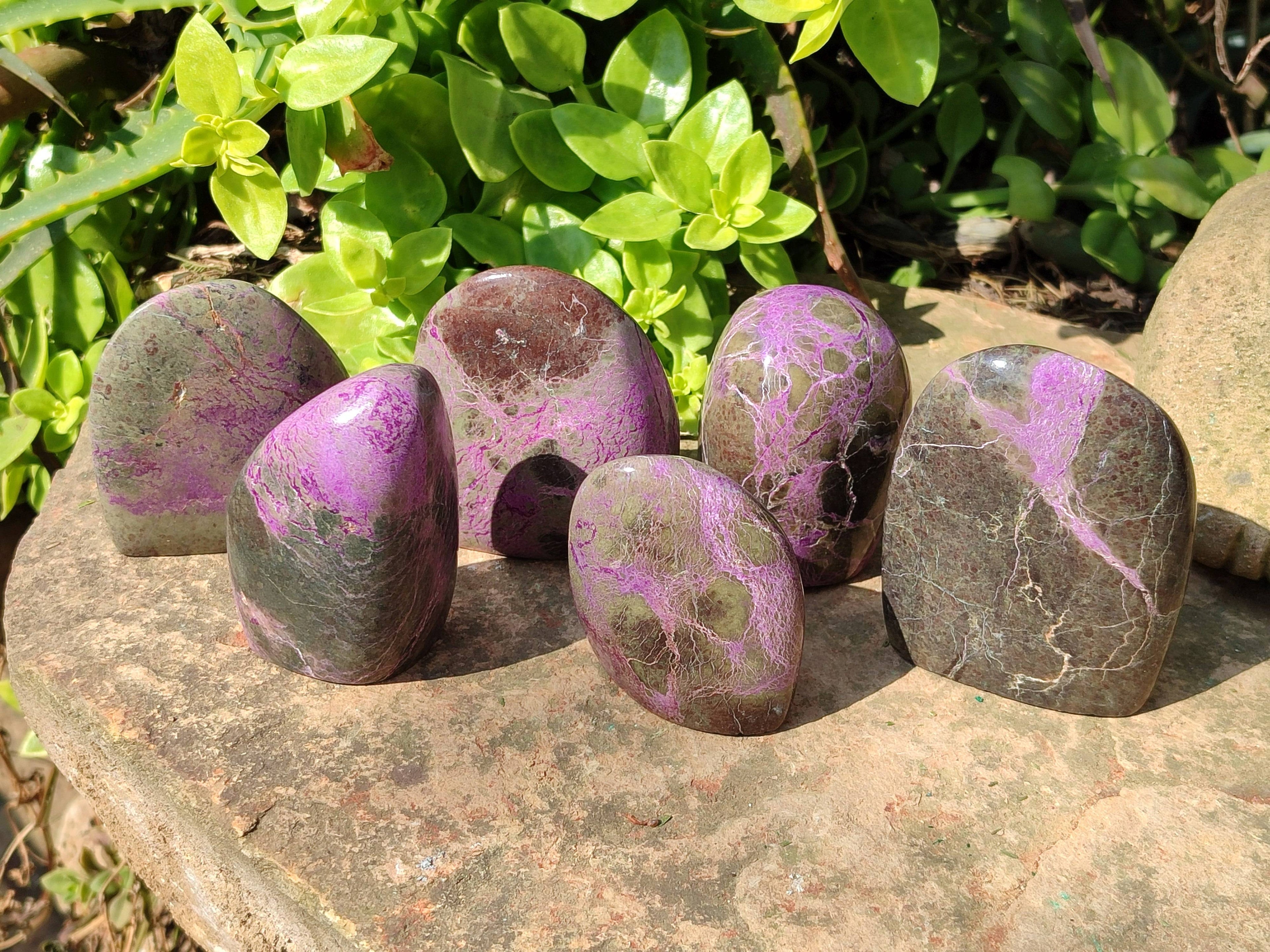 Polished Stichtite Standing Free Form x 6 From Barberton, South Africa - Toprock Gemstones and Minerals 
