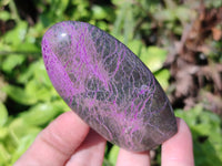 Polished Stichtite Standing Free Form x 6 From Barberton, South Africa - Toprock Gemstones and Minerals 