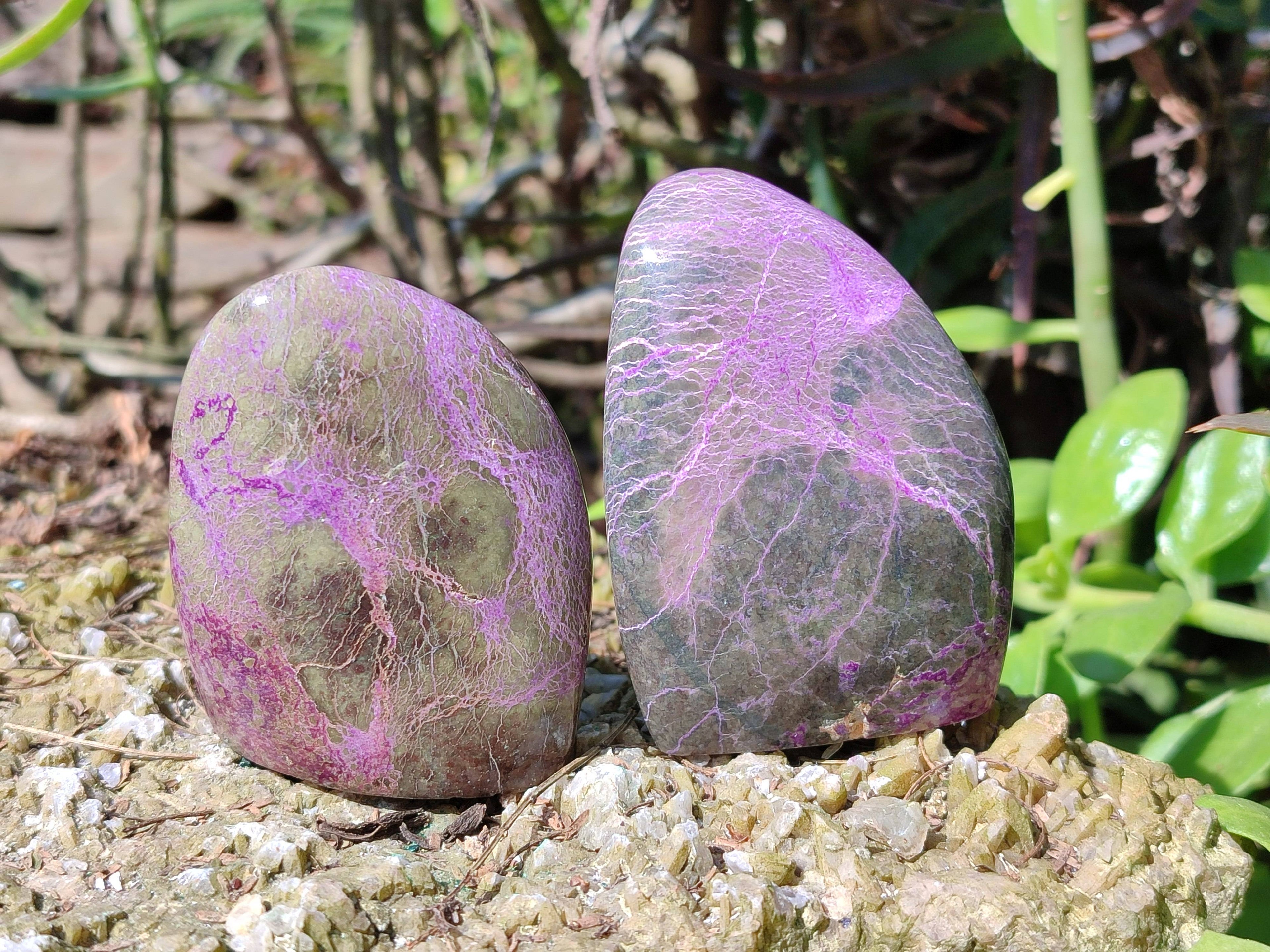 Polished Stichtite Standing Free Form x 6 From Barberton, South Africa - Toprock Gemstones and Minerals 