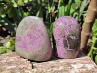 Polished Stichtite Standing Free Form x 6 From Barberton, South Africa - Toprock Gemstones and Minerals 