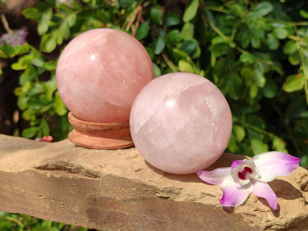 Polished Rose Quartz Spheres x 2 From Madagascar - Toprock Gemstones and Minerals 