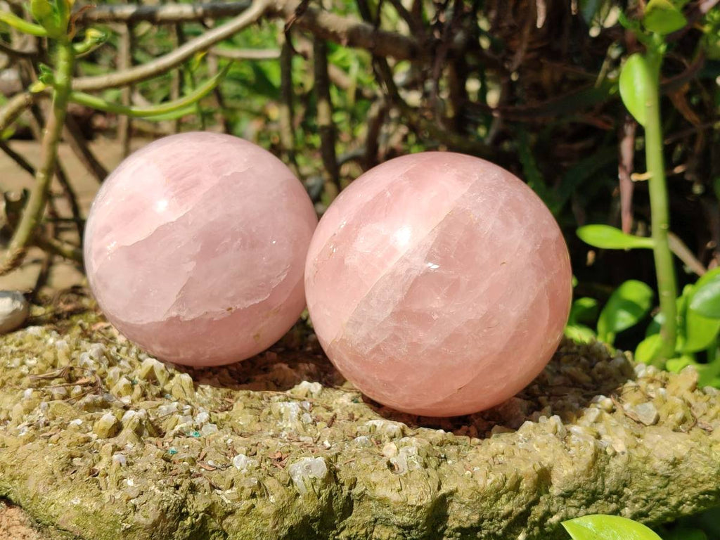 Polished Rose Quartz Spheres x 2 From Madagascar - Toprock Gemstones and Minerals 